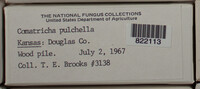 Image Associated With the Occurence